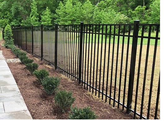 Black ornamental iron fence with landscaping