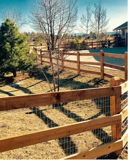 Split rail with wire mesh